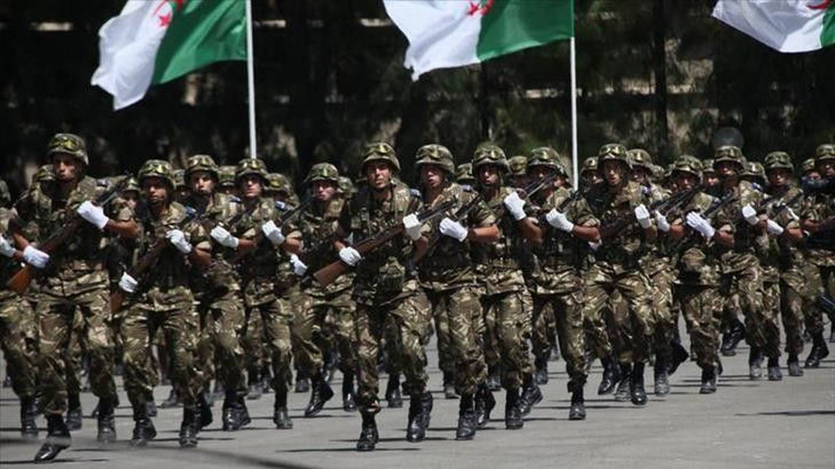 الجيش الجزائري

