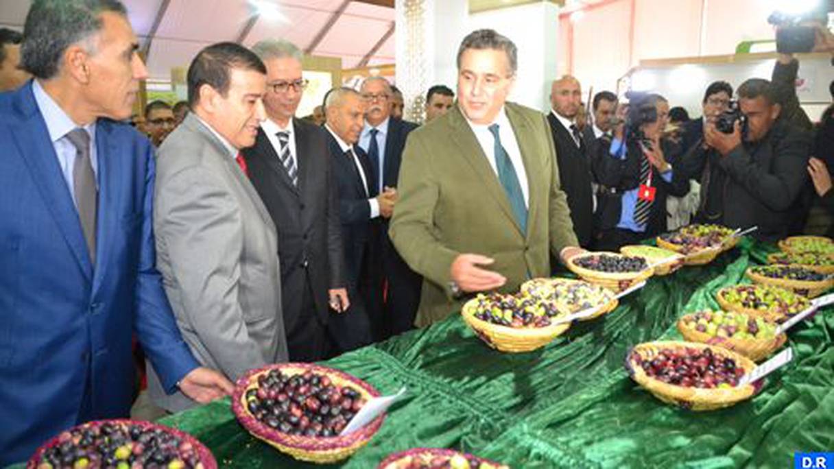 وزير الفلاحة يفتتح إحدى دورات الملتقى الوطني للزيتون بمدينة العطاوية
