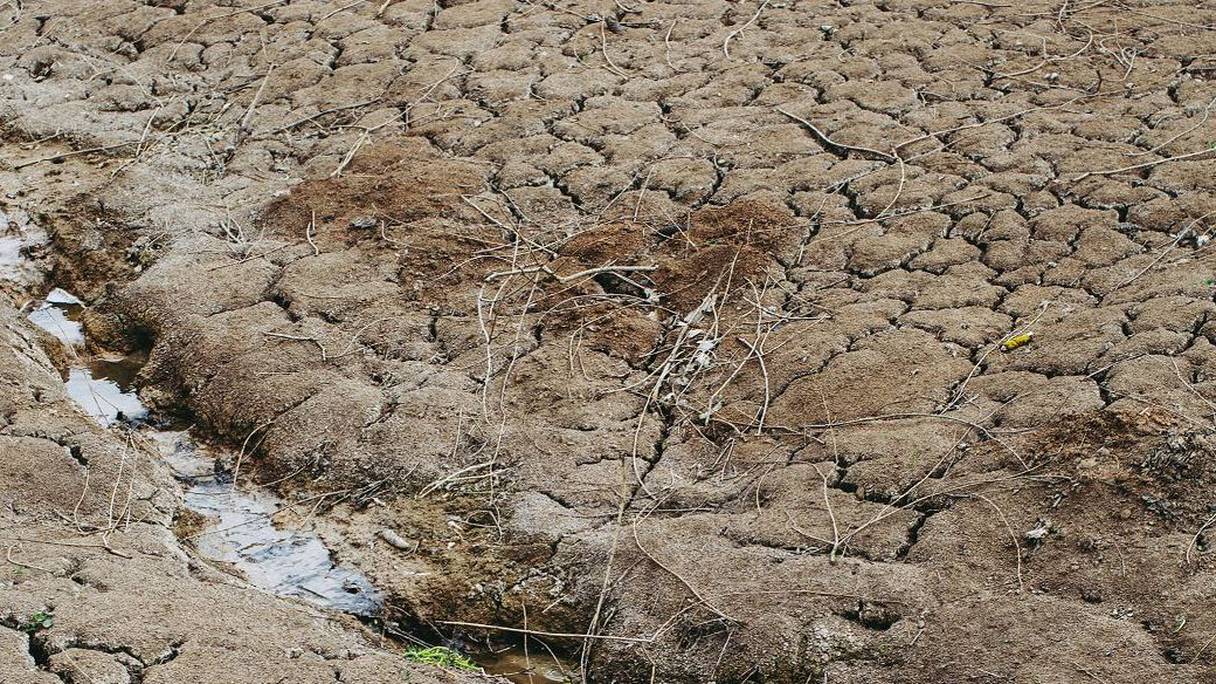 أرض قاحلة تشققاتها واضحة بسبب الجفاف
