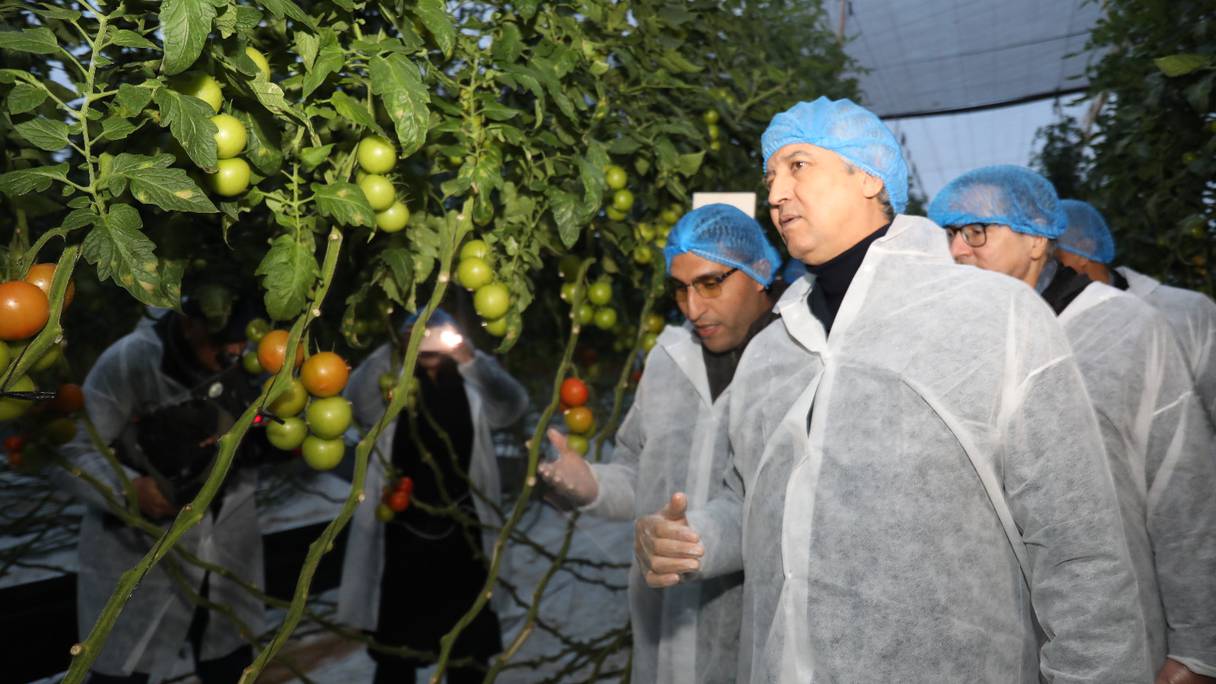 وزير الفلاحة محمد صديقي يقوم بزيارة ميدانية لضيعة فلاحية متخصصة في إنتاج الطماطم بإقليم شتوكة آيت باها