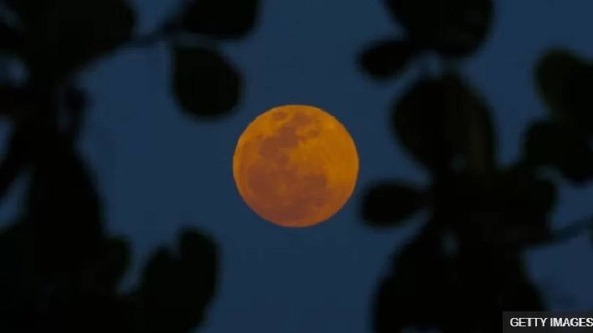 في مدينة ريو دي جانيرو البرازيلية ظهر القمر بلون برتقالي تقريبا في لحظة ما
