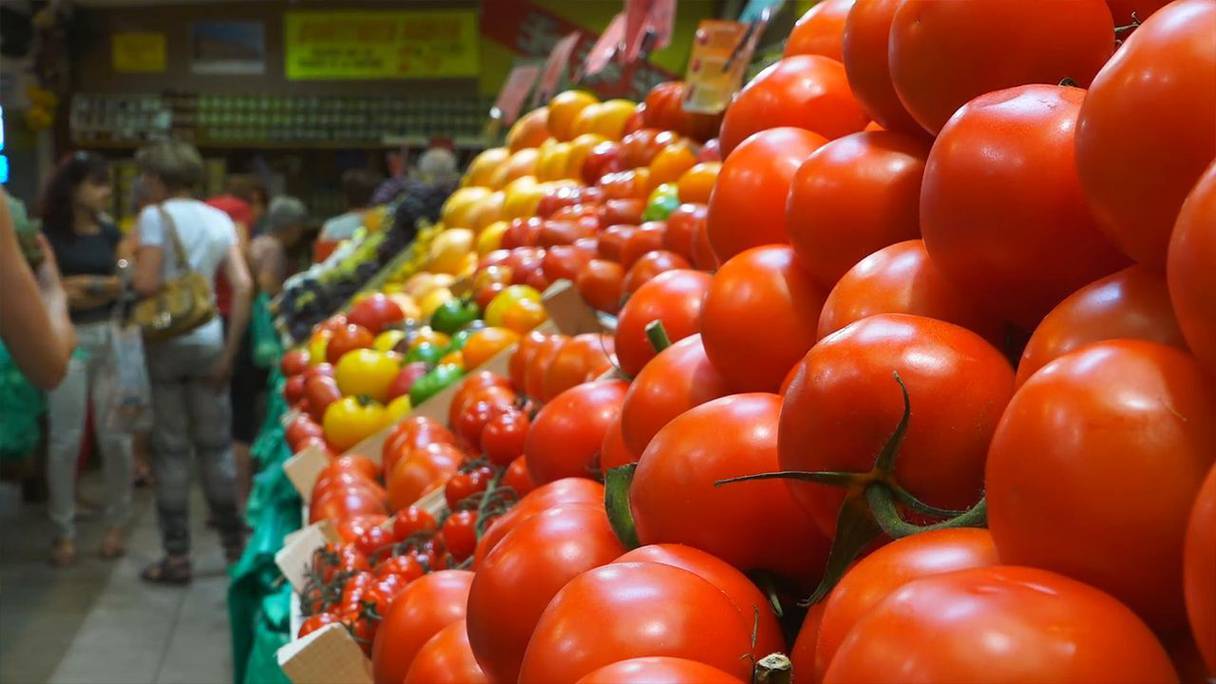 ارتفاع صادرات الطماطم نحو السوق الأوروبية  خلال سنة 2022