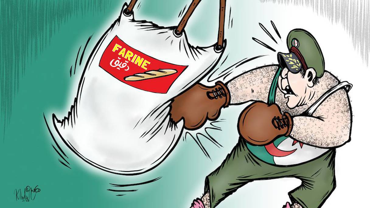 كاريكاتير: العسكر الجزائري يصارع في مواجهة الأزمة الاقتصادية
