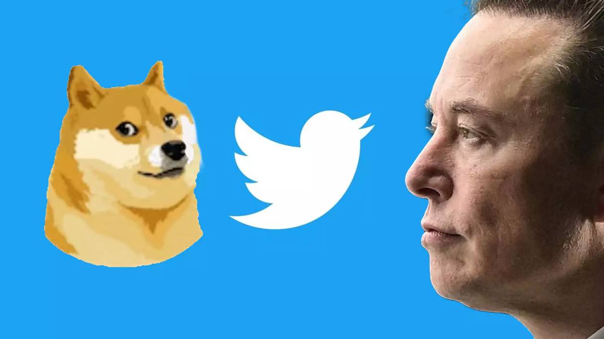إيلون ماسك يغير شعار تويتر من عصفور إلى كلب