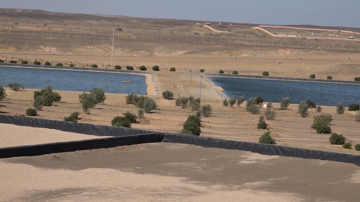 جولة بمحطة معالجة المياه العادمة بمدينة السمارة