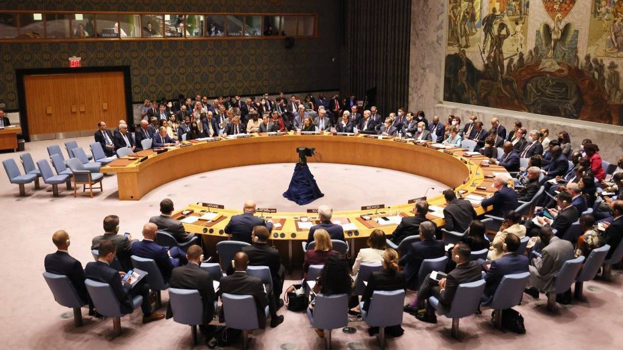 مجلس الأمن الدولي
