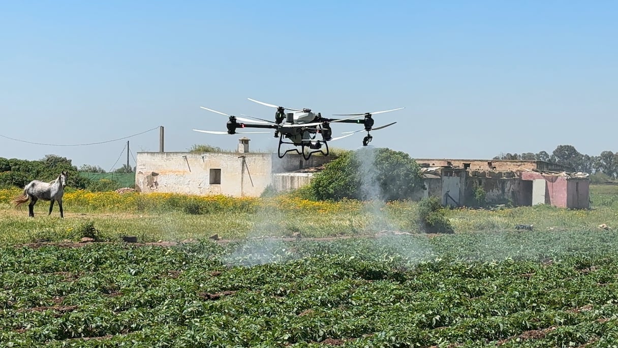 استعمال الدرون في الفلاحة