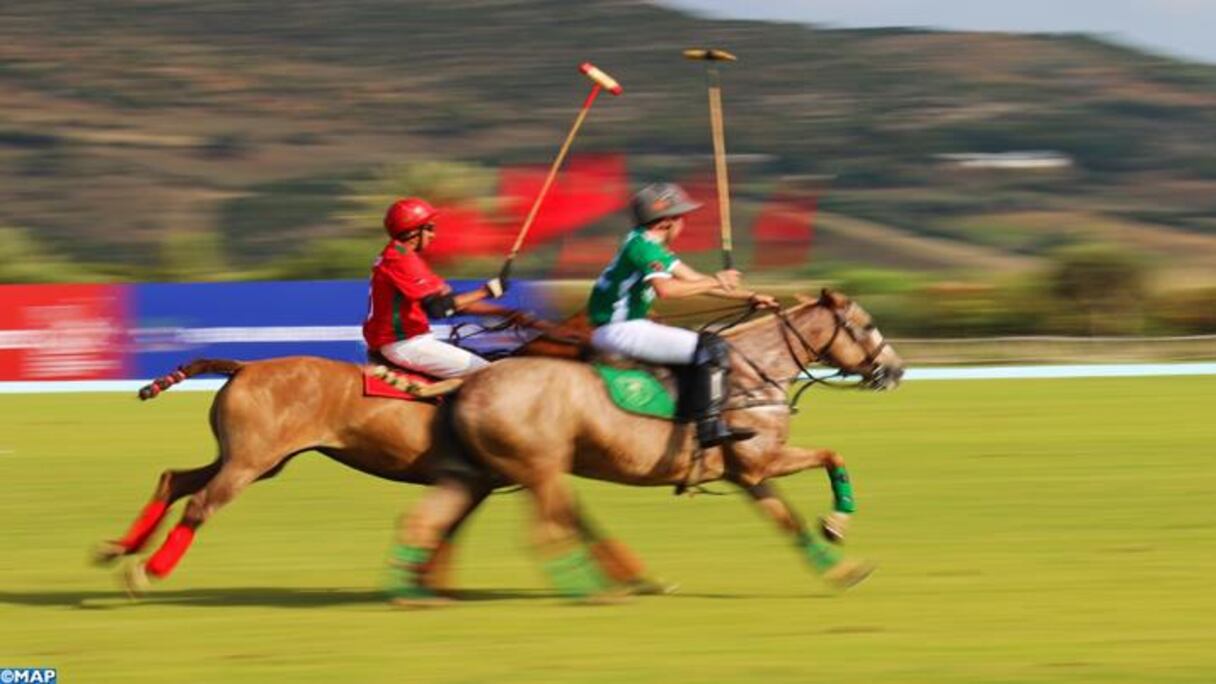 رياضة البولو