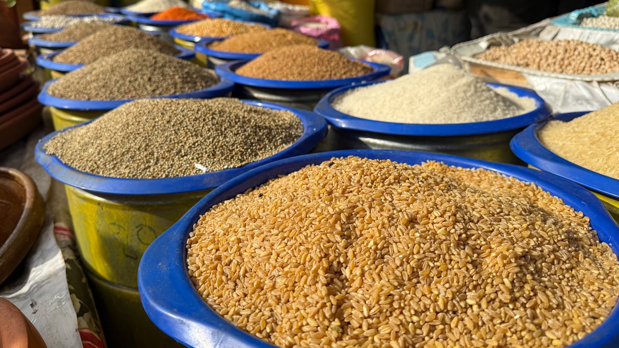 اكتشف أسعار القطاني بسوق الحبوب بالدار البيضاء