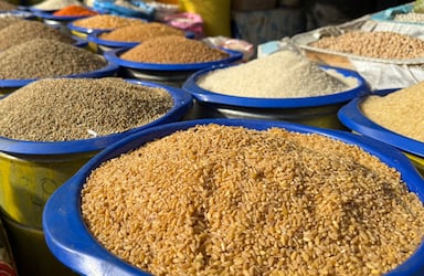 اكتشف أسعار القطاني بسوق الحبوب بالدار البيضاء