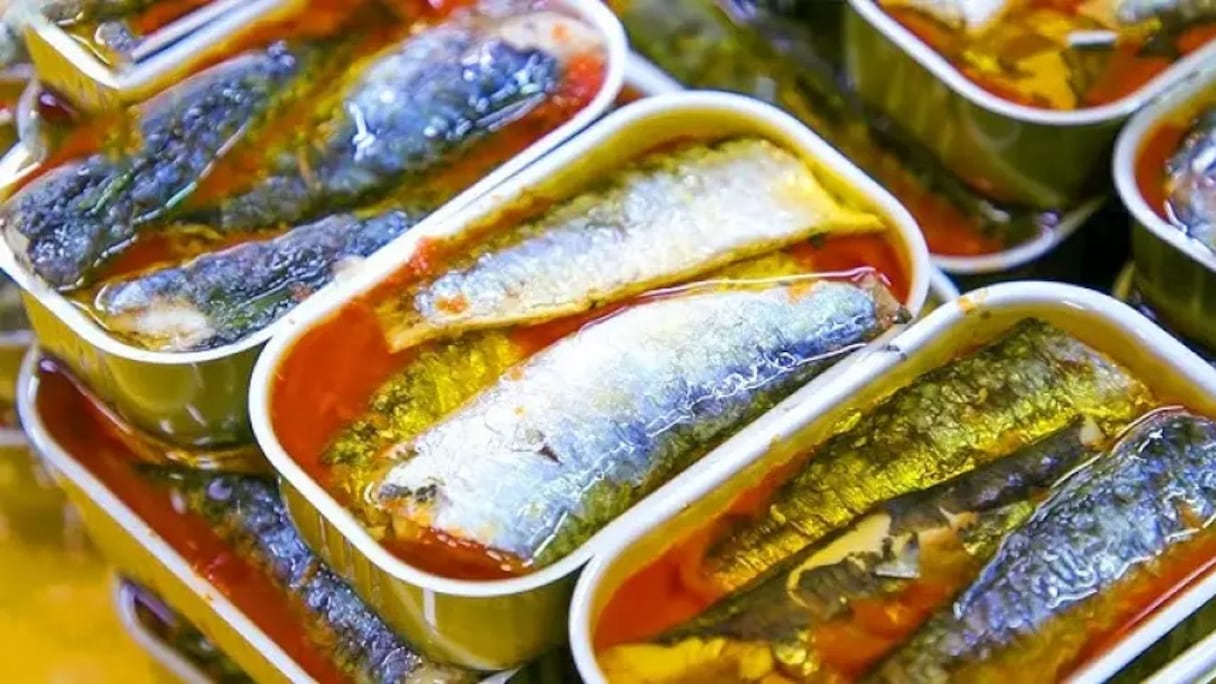 السردين المعلب