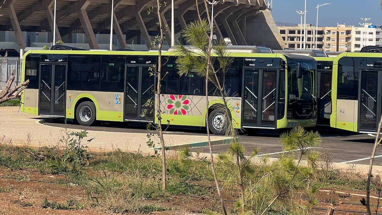 حافلات جديدة بمدينة فاس