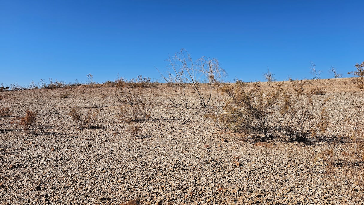 جفاف سد المسيرة