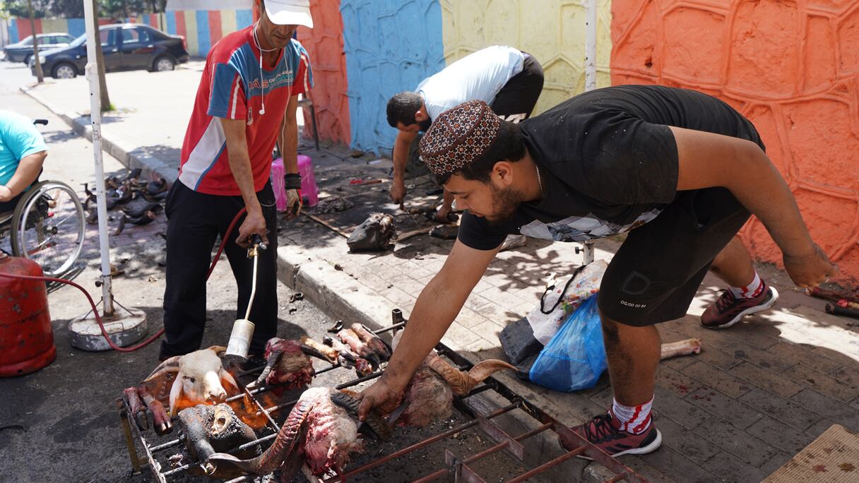 قّلة الأضاحي وصِغر حجمها ينعكسان سلبا على حرفة شيّ الرؤوس بالبيضاء