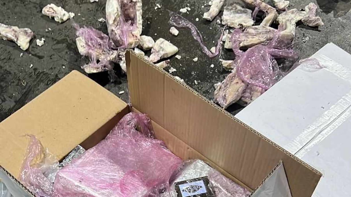 حجز المخدرات وسط الأسماك المجمدة