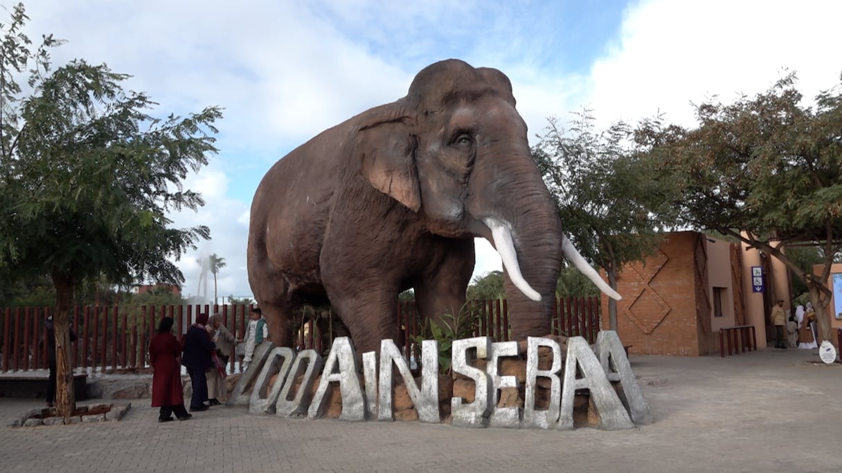 حديقة الحيوان عين السبع