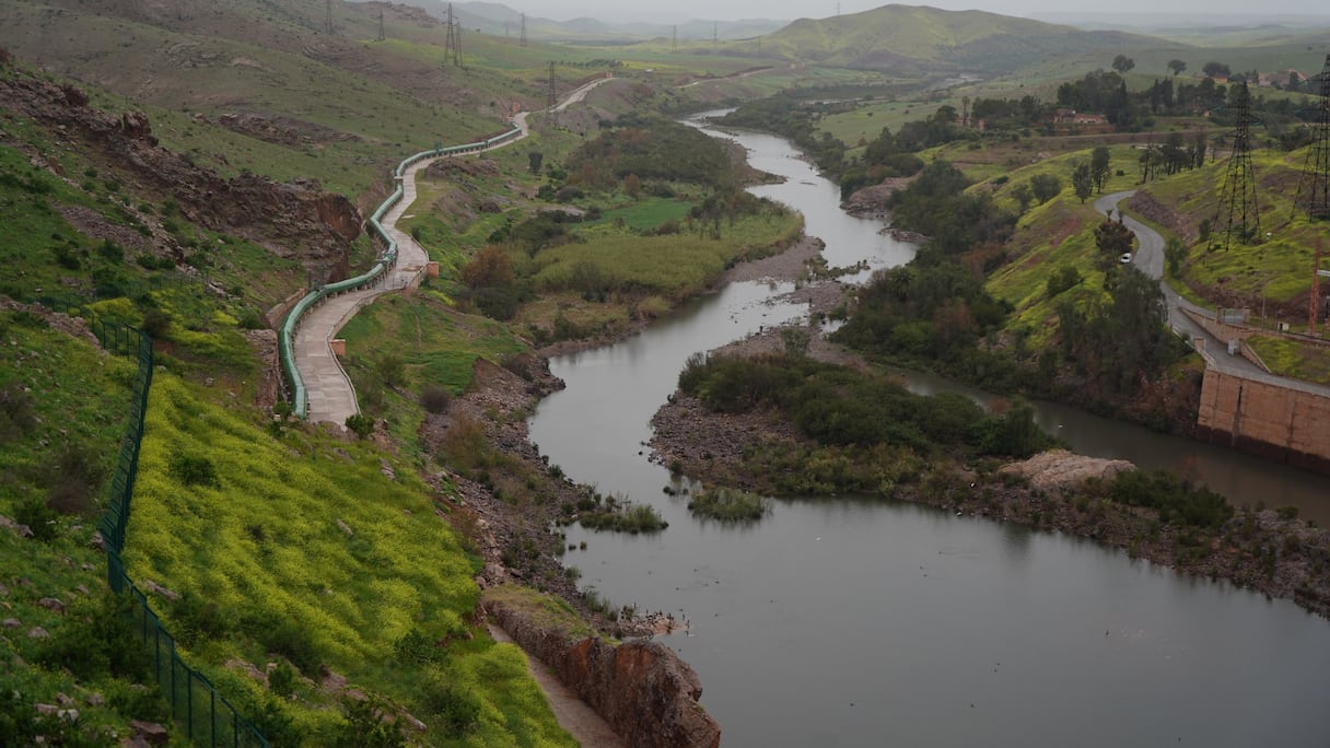 ارتفاع نسبة ملء سد المسيرة يوم الأربعاء 4 مارس2026 إلى 31.73 في المائة مقارنة بـ2.3 في المائة فقط خلال الفترة نفسها من السنة الماضية.