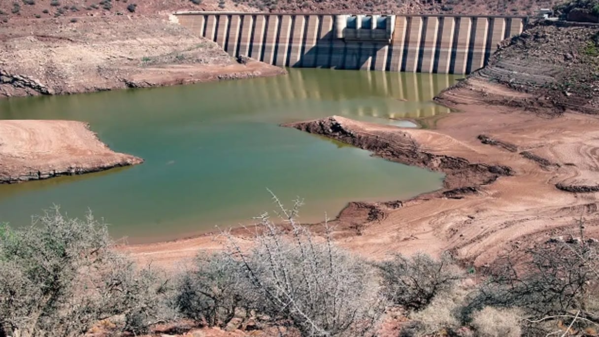 توحل السدود