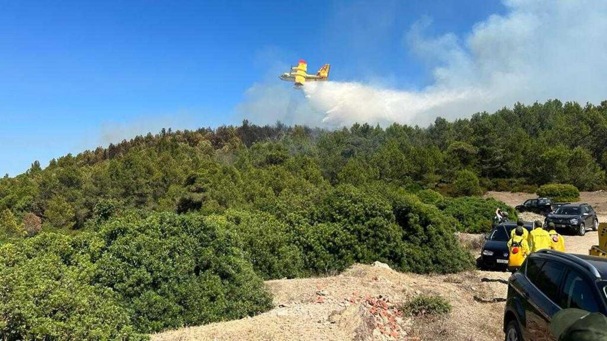 طائرة من نوع كنادير تطفئ حريقا غابويا بضواحي طنجة