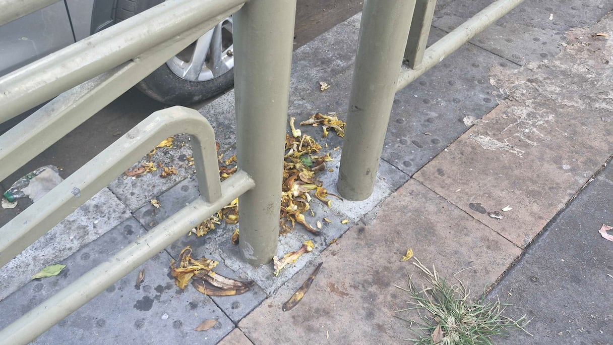 انتشار الأزبال بالجديدة