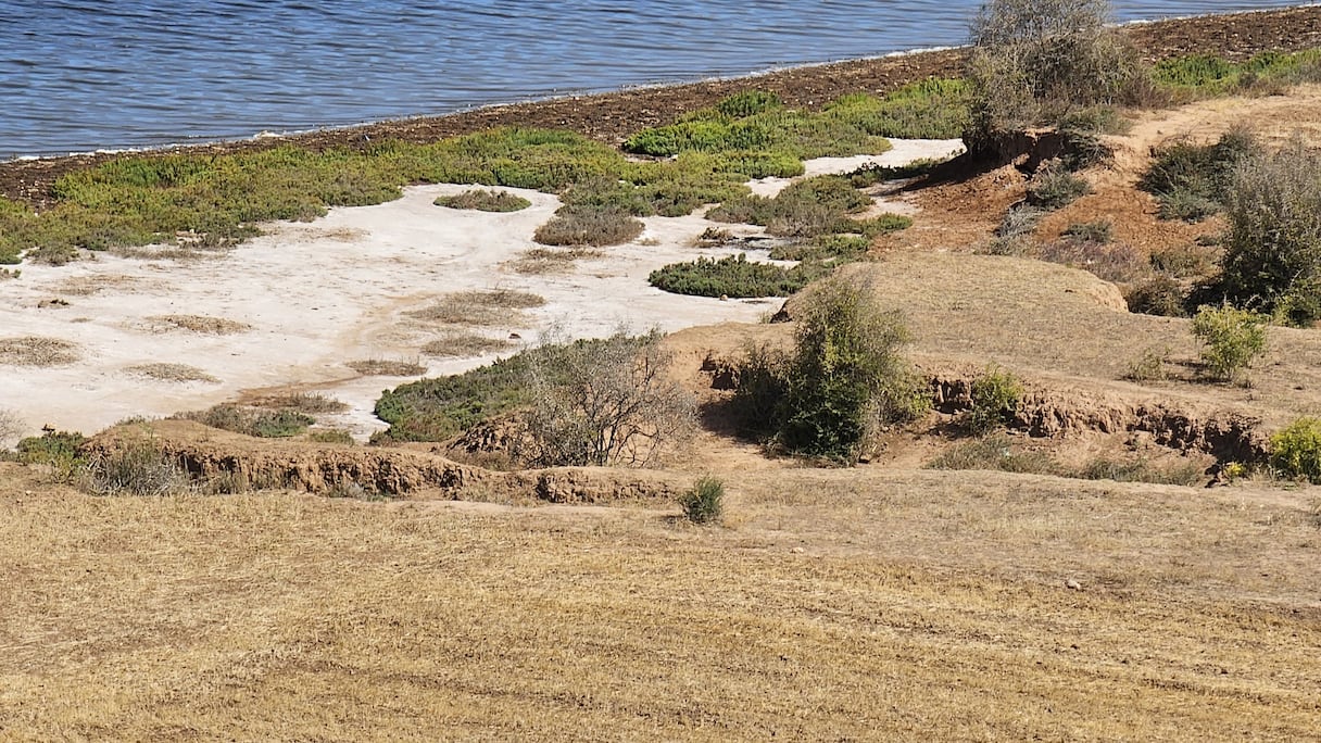 تراجع صبيب واد أم الربيع بسبب الجفاف