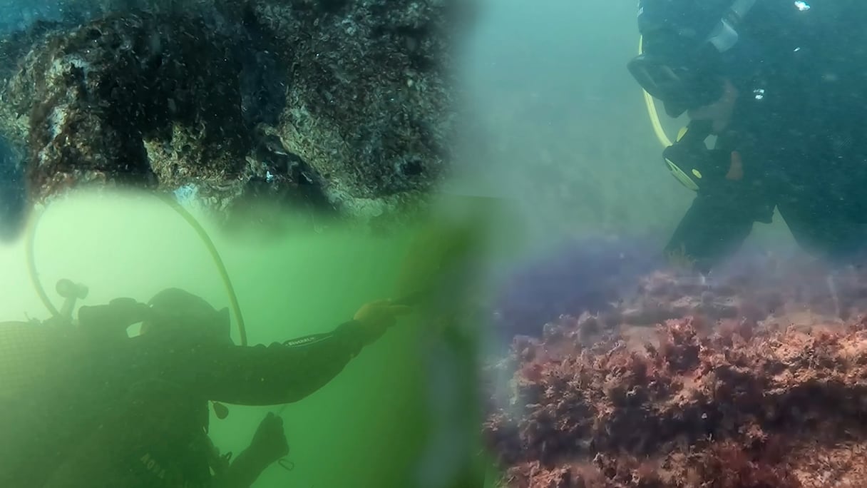 معطيات جديدة عن السفينتين التاريخيتين المكتشفتين بسواحل الجديدة