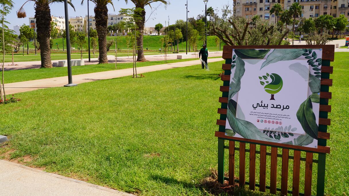 تحول ضاية الولفة إلى منتزه ترفيهي