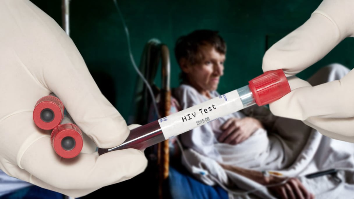 السيدا "صورة تعبيرية"