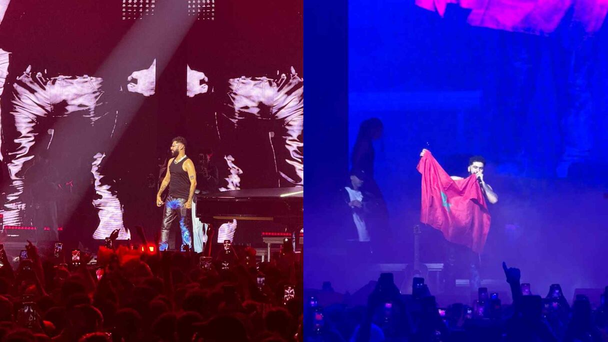 حفل طوطو في باريس