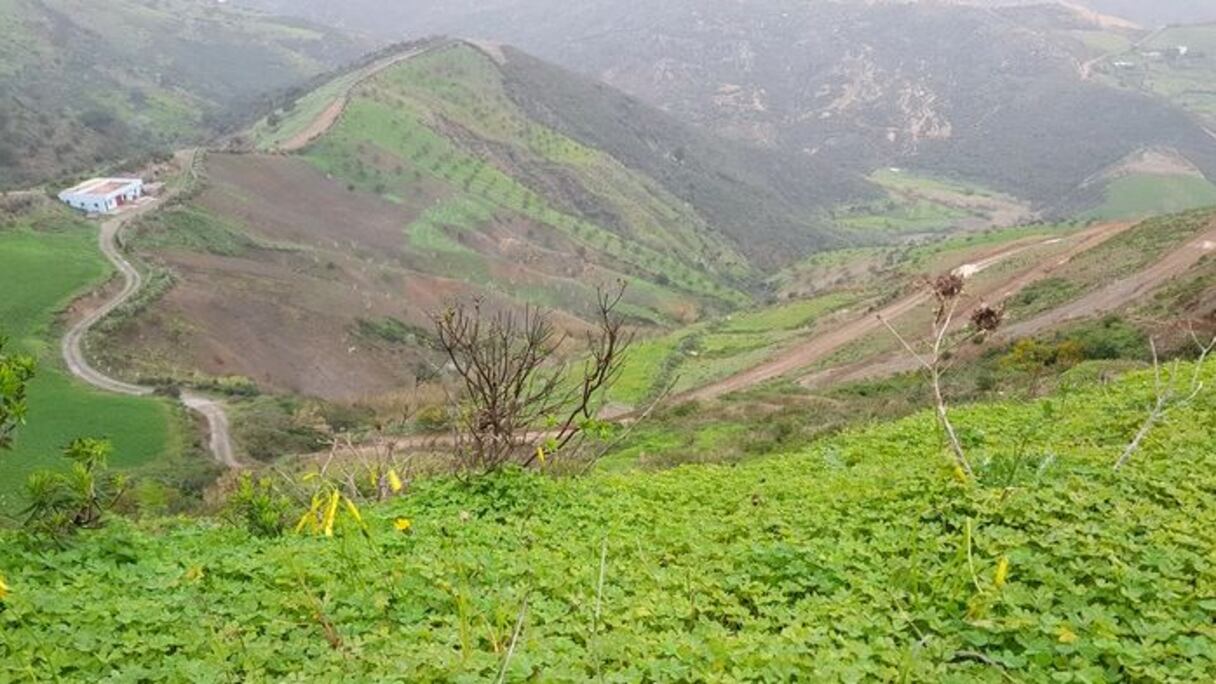 هنا يختبئ المهاجرون الأفارقة قبل اقتحام سياج سبتة المحتلة