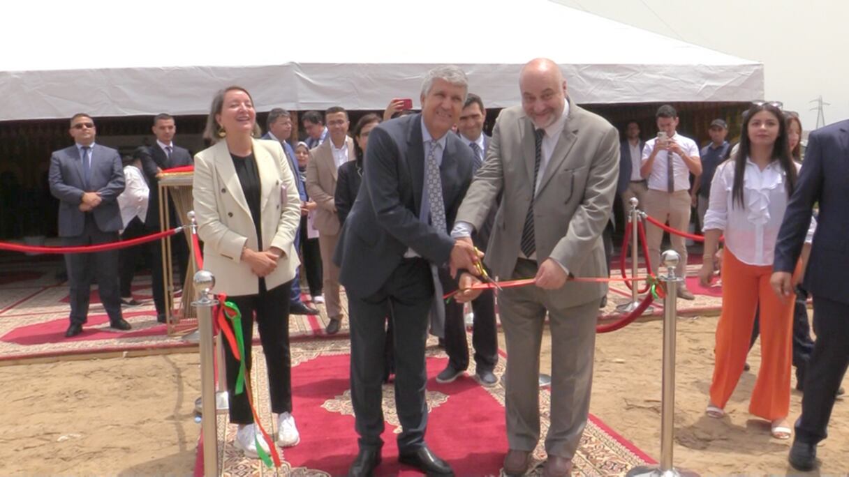 إنشاء أول مفرخة للأسماك البحرية في المغرب بضواحي طنجة