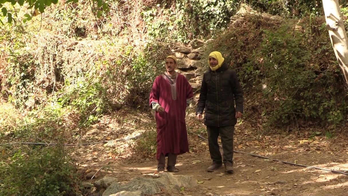 سكان متضررون من الزلزال بشيشاوة يعودون لممارسة أنشطتهم الفلاحية