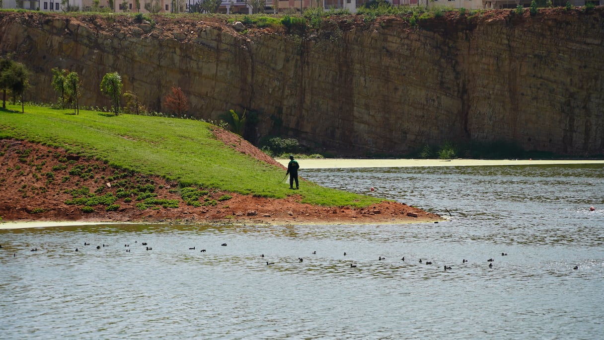 تحول ضاية الولفة إلى منتزه ترفيهي
