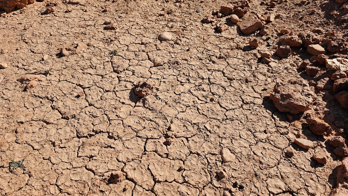 تشققات الأرض بسد المسيرة بسبب الجفاف