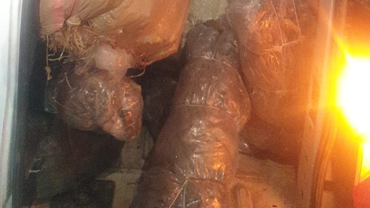 حجز مخدر الكيف