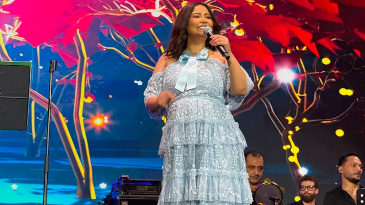 الفنانة شيرين
