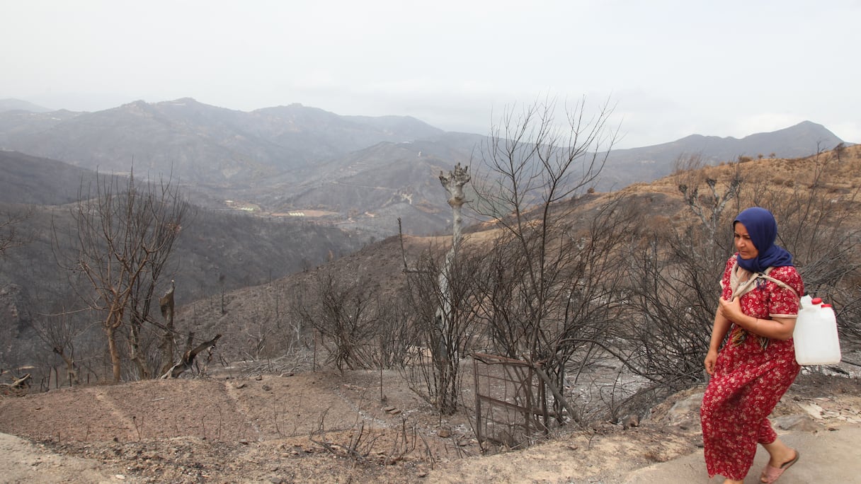 Une femme en quête d'eau dans la région de Béjaïa, frappée l'été 2023 par des incendies ravageurs.