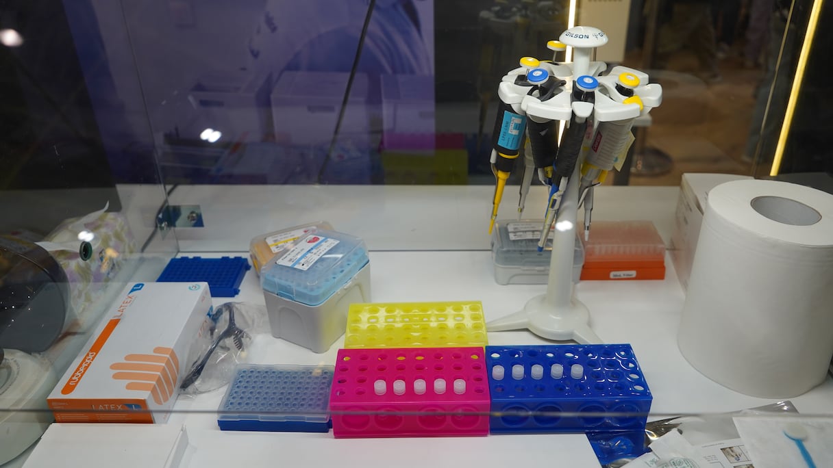 البصمة الوراثية والبصمات