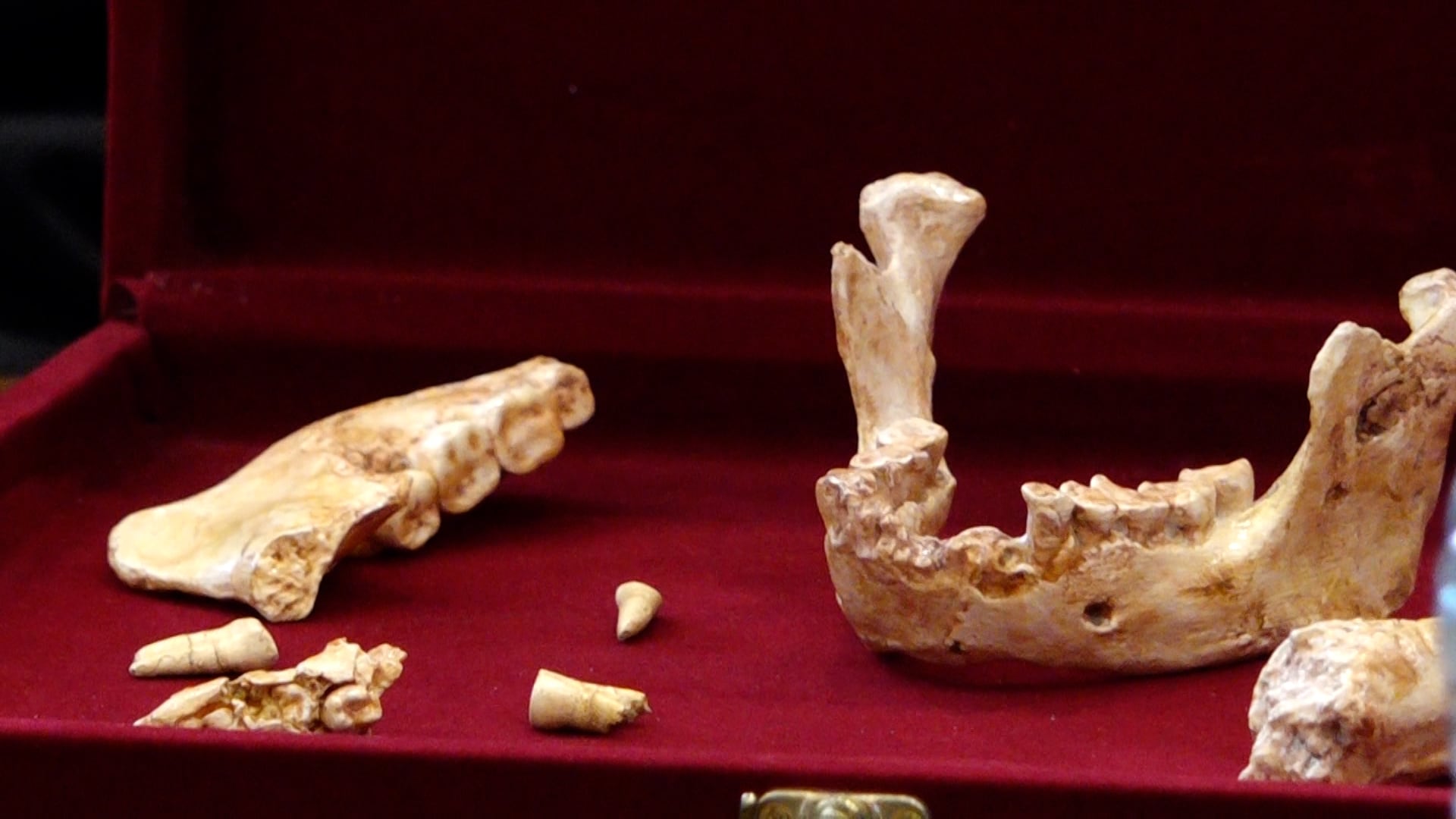 اكتشاف علمي هام بالدار البيضاء.. حفريات بشرية تعود لـ773 ألف سنة