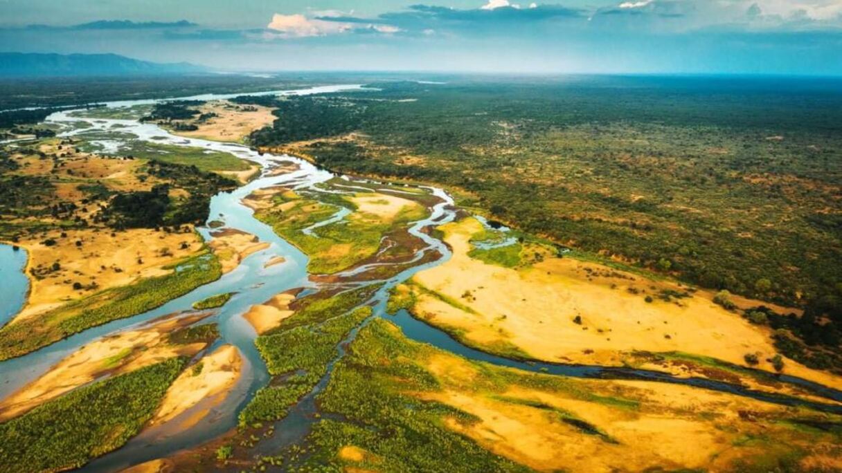 إفريقيا والاستثمار في التنوع البيولوجي