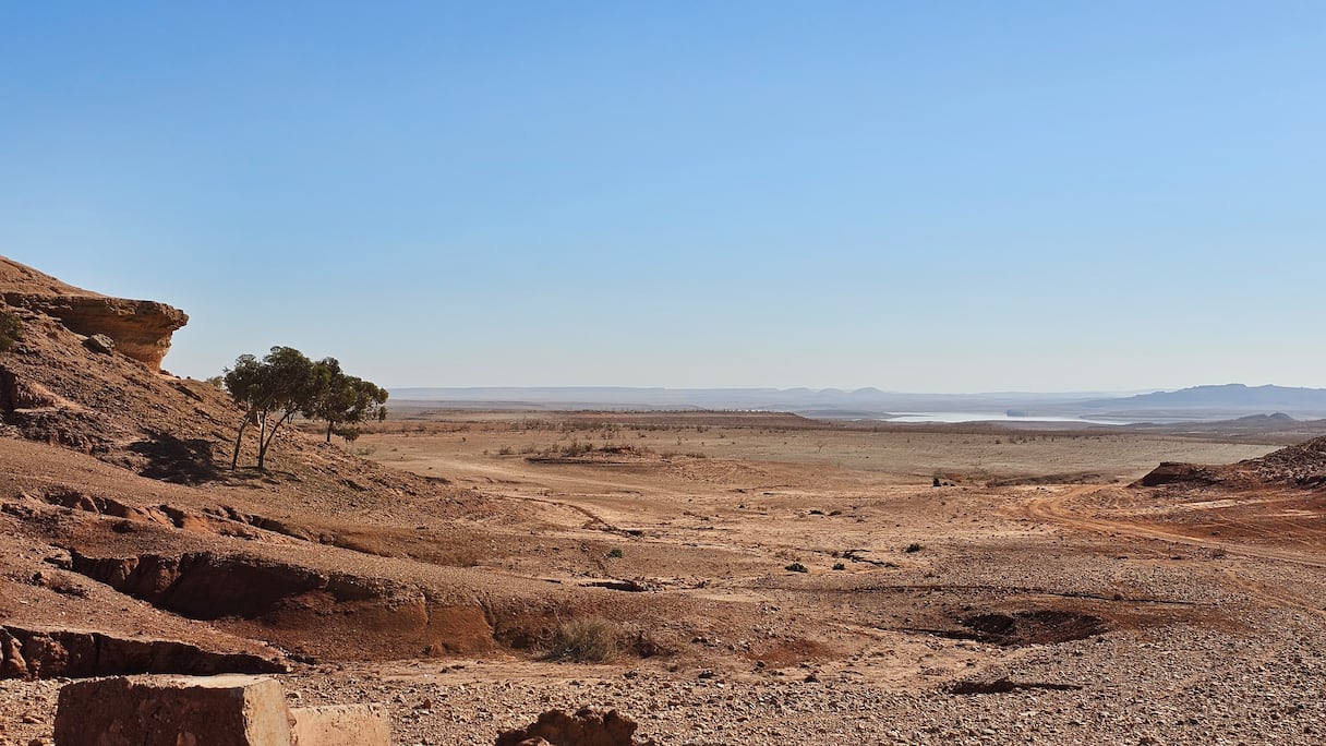 جفاف سد المسيرة: هذه الأراضي كانت مغمورة بالمياه قبل 7 سنوات. خاص (Le360)