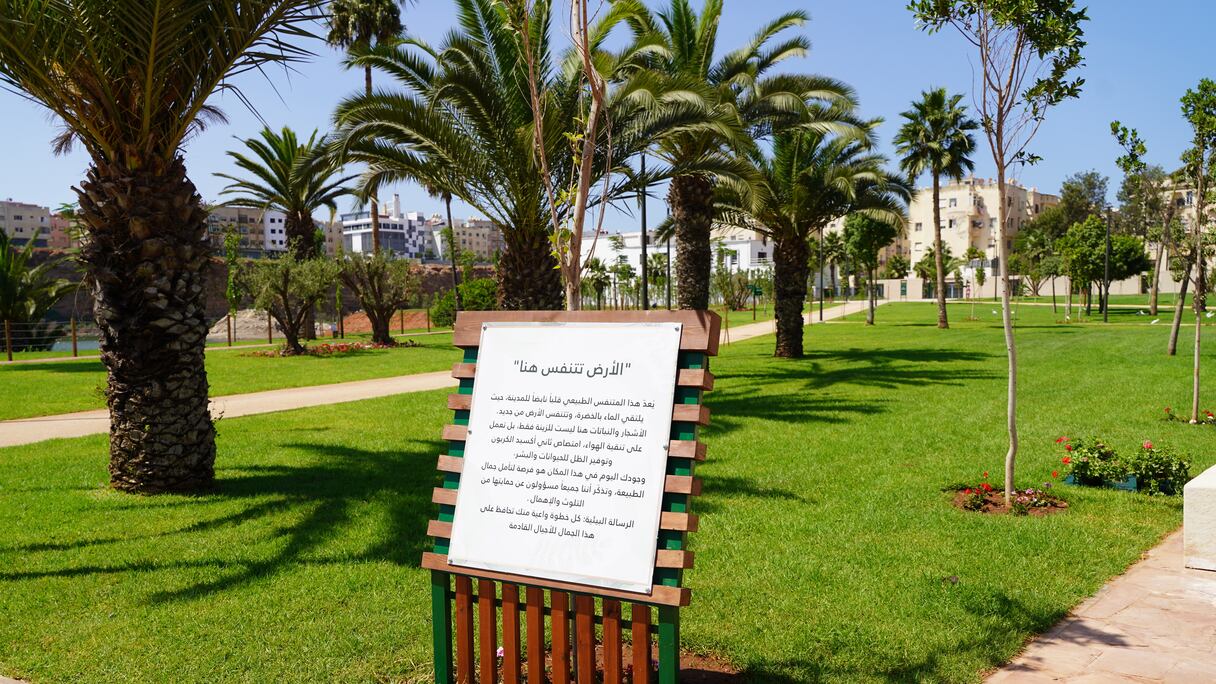 تحول ضاية الولفة إلى منتزه ترفيهي