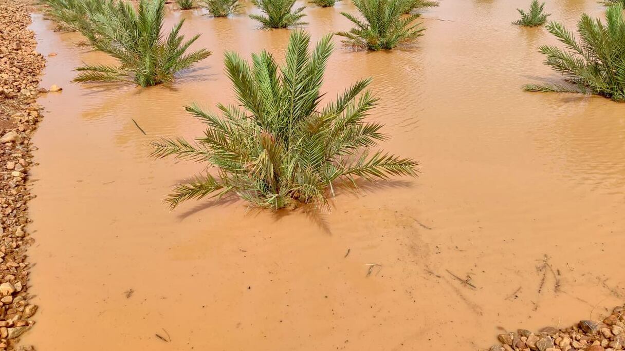 فيضانات الجنوب الشرقي