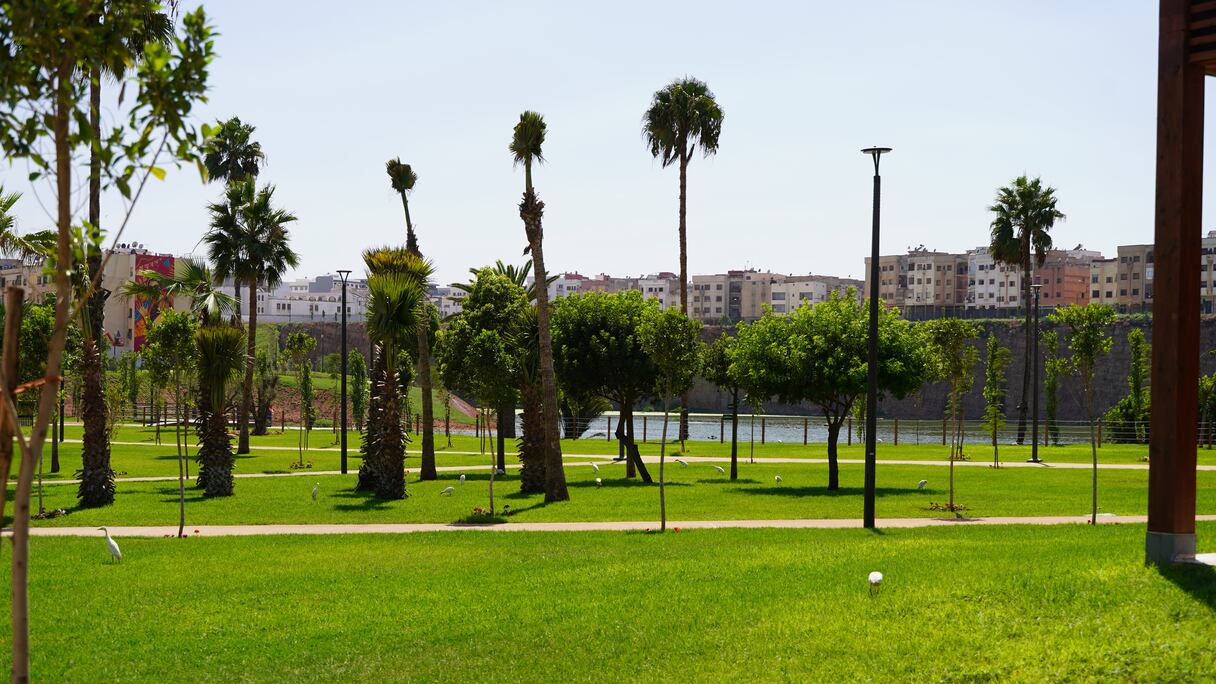 تحول ضاية الولفة إلى منتزه ترفيهي