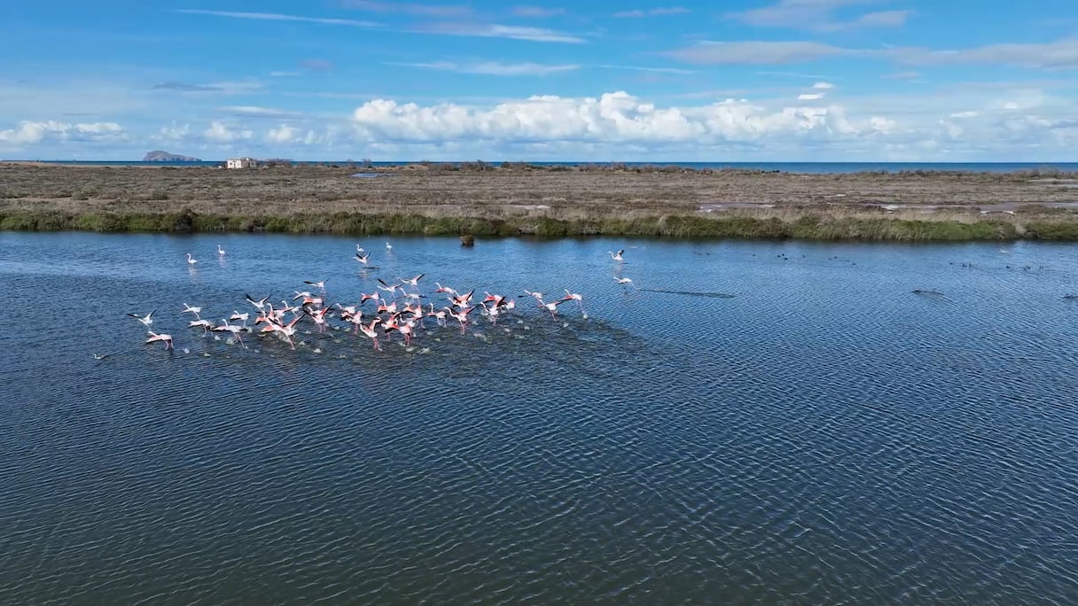 وديان المغرب: وادي ملوية.. بين سحر الطبيعة وواقع التحديات البيئية