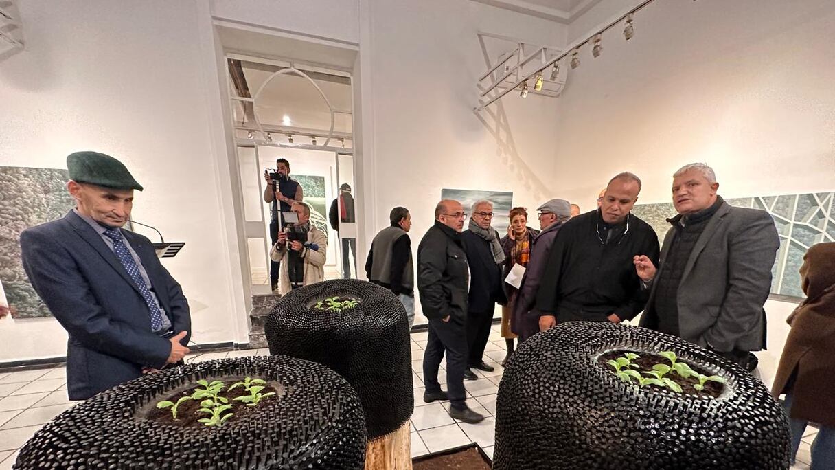 الفنان يامو يعرض مناظر طبيعية لجمهور طنجة