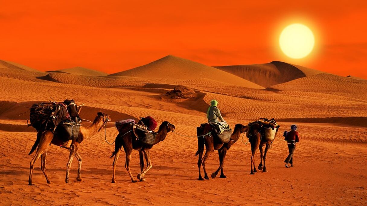 الصحراء الشرقية