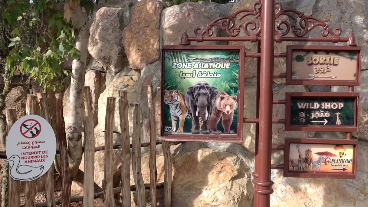 حديقة الحيوان عين السبع