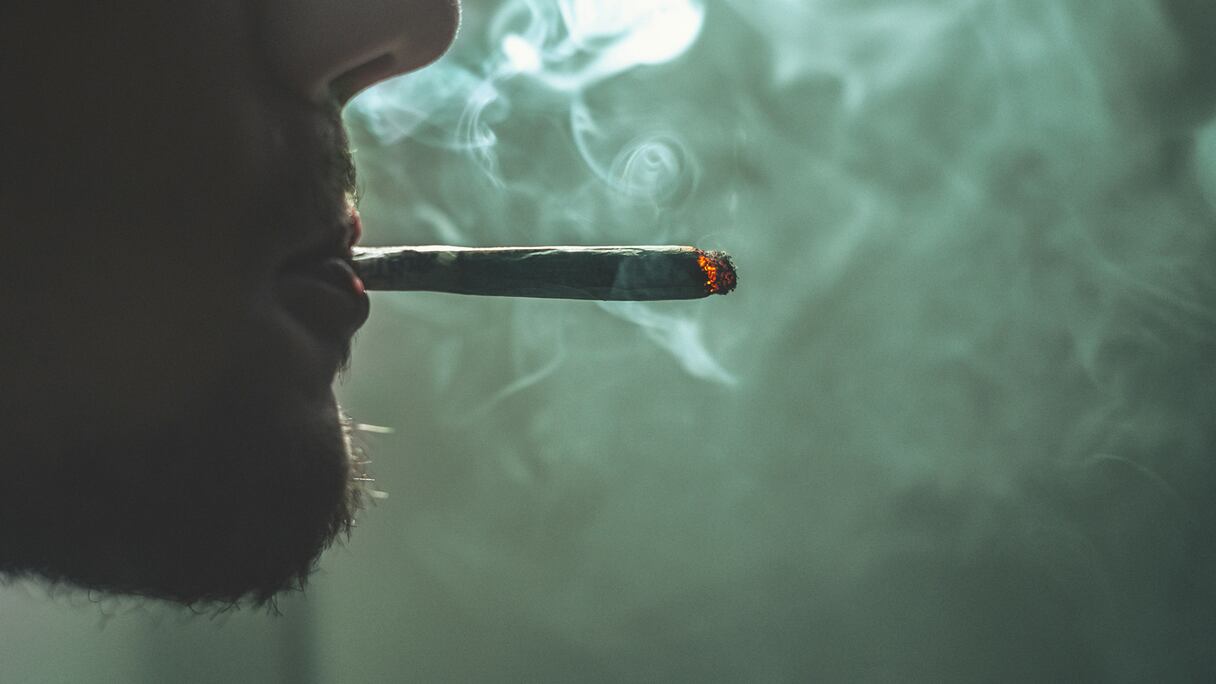 مخدر الحشيش