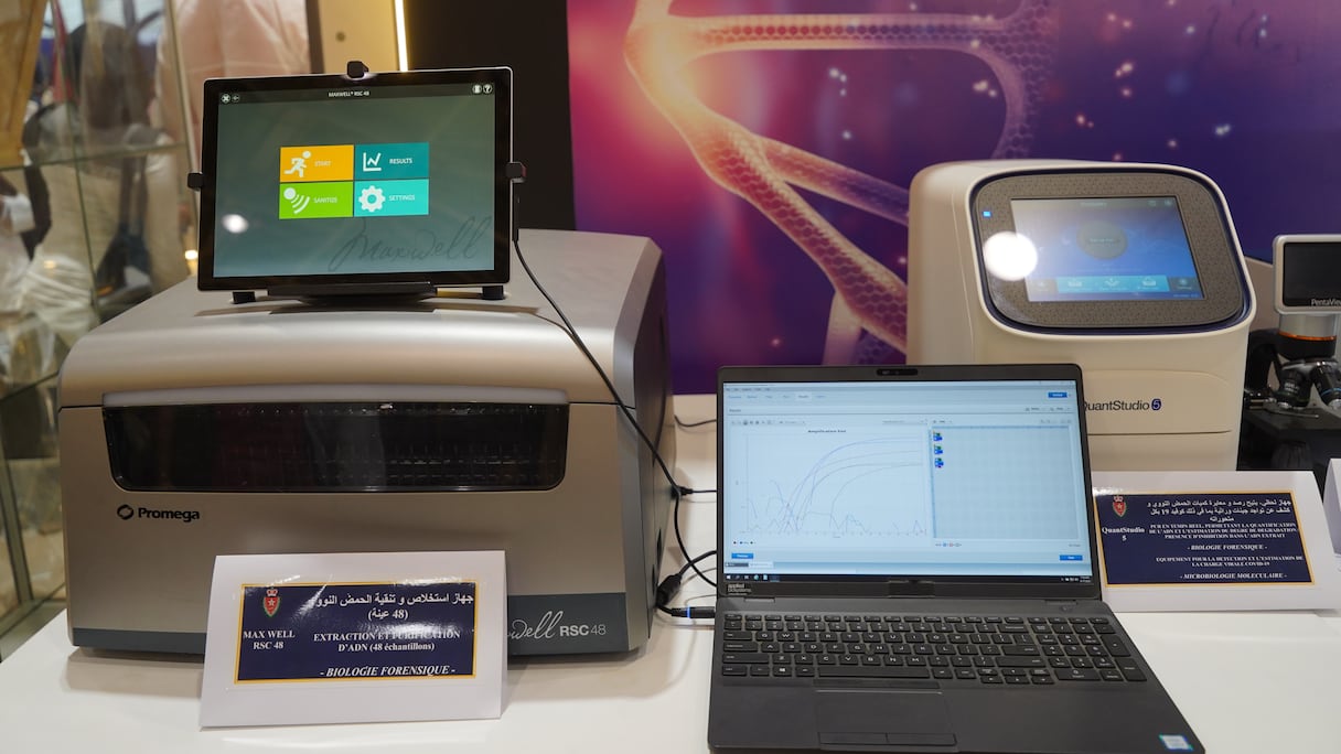 البصمة الوراثية والبصمات